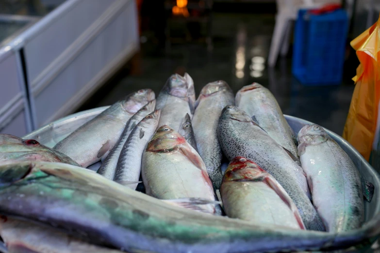 a pile of fish sitting on a counter top