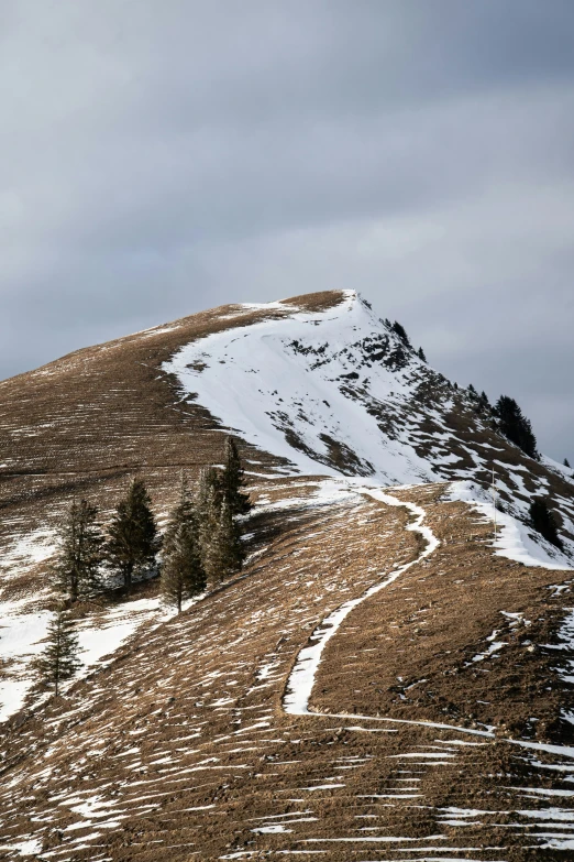 a snow covered mountain with trees on the top and hill side