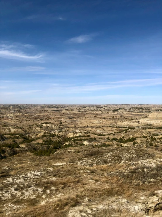 an empty, barren plain with some trees and grass