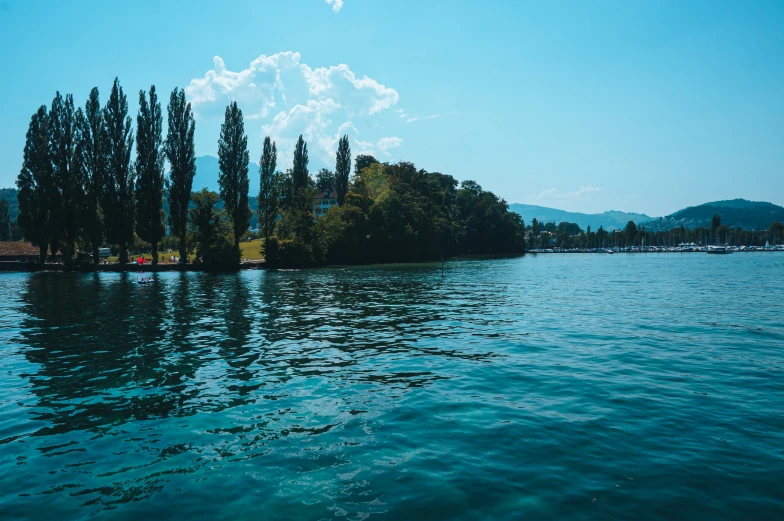 some trees line the edge of a water way