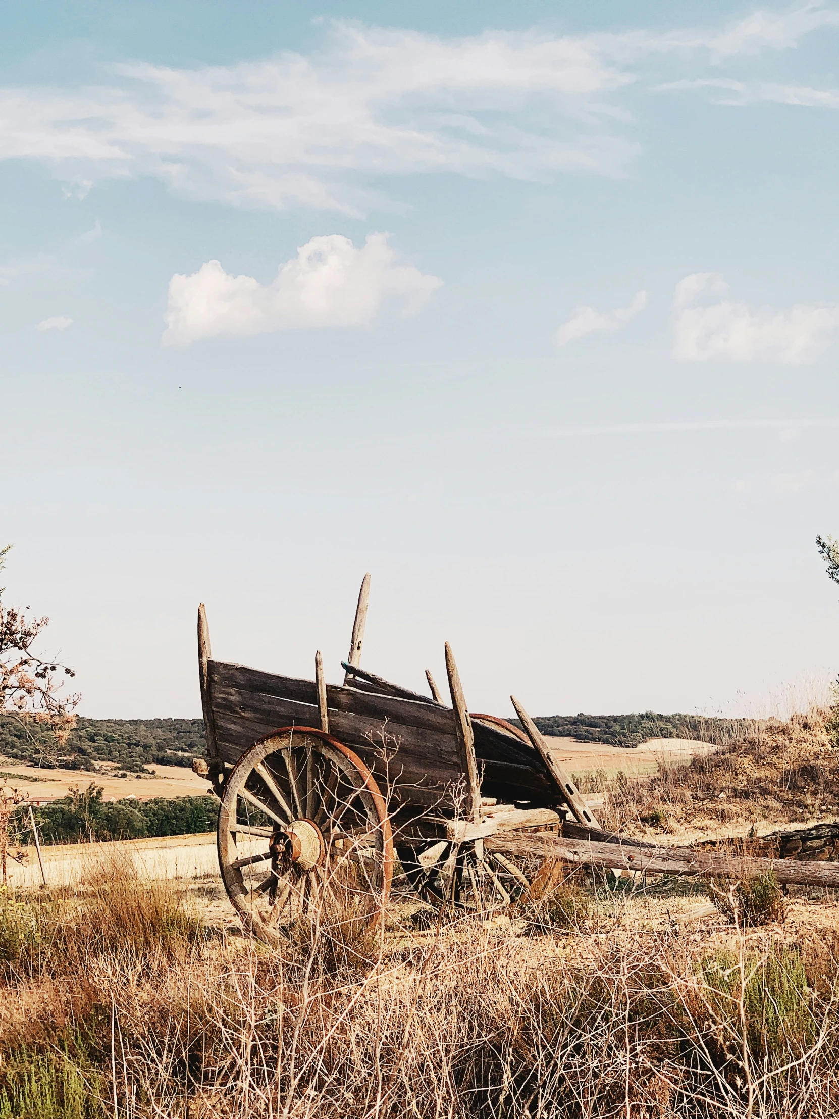 a large wooden cart sitting in a dry grass field