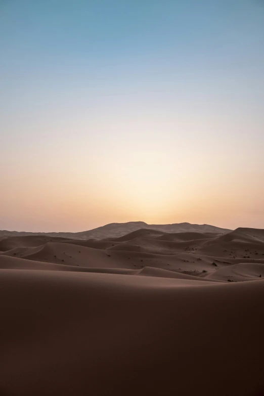 a lone horse standing in the desert during sunset