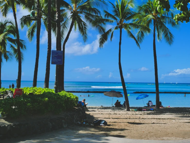 a group of people sitting under palm trees on a beach