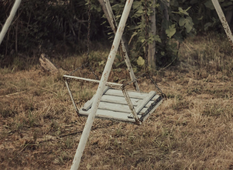 a broken swing seat sitting in the middle of a forest