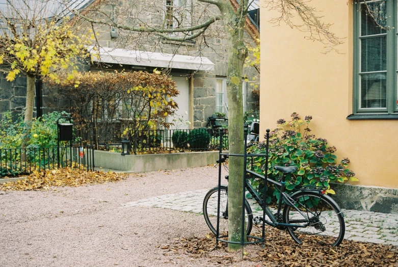 a bike locked to a pole next to a leafy green tree