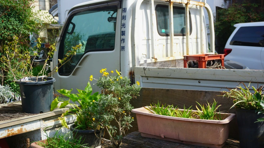 a white bus has many flowers and a car behind it