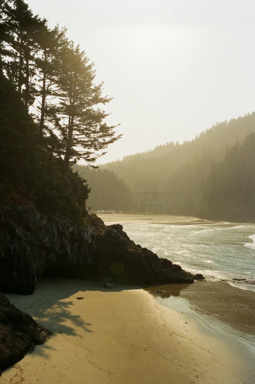 a foggy morning on the shore of a coastal island