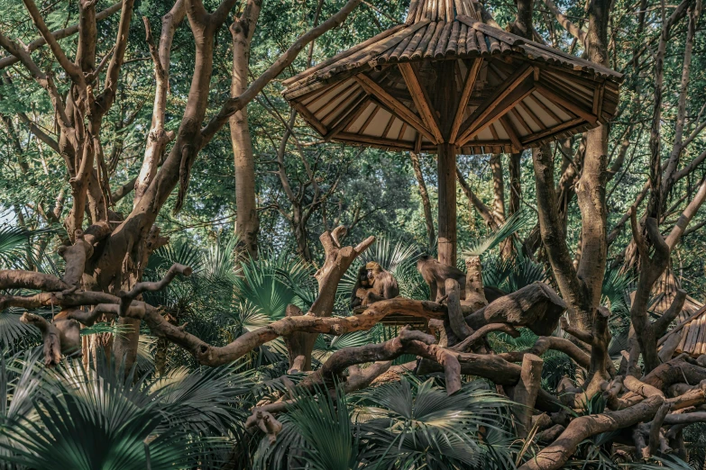 a large tree house in a forest filled with trees