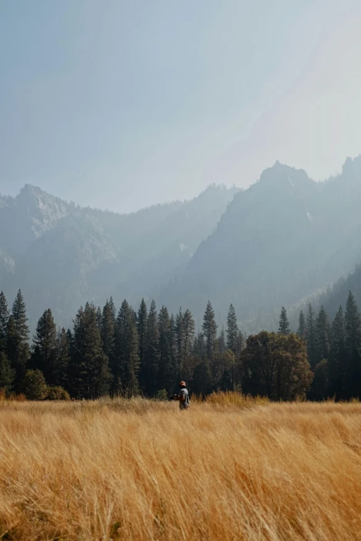 an adult and child ride their horse through the field