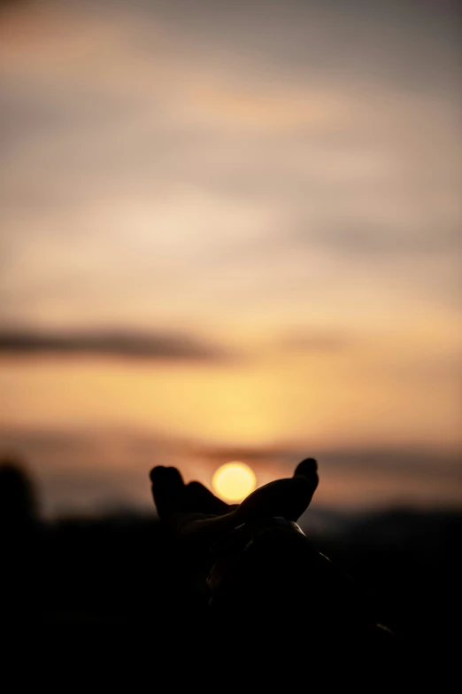 an object is held up with both hands at sunset