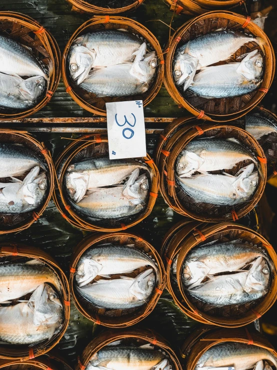 a close up image of fish in small baskets