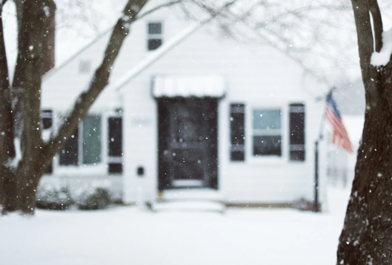 a tree covered in snow with houses behind