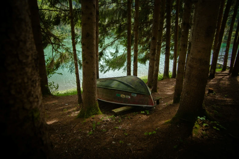 there is a small motor boat on the beach between the trees