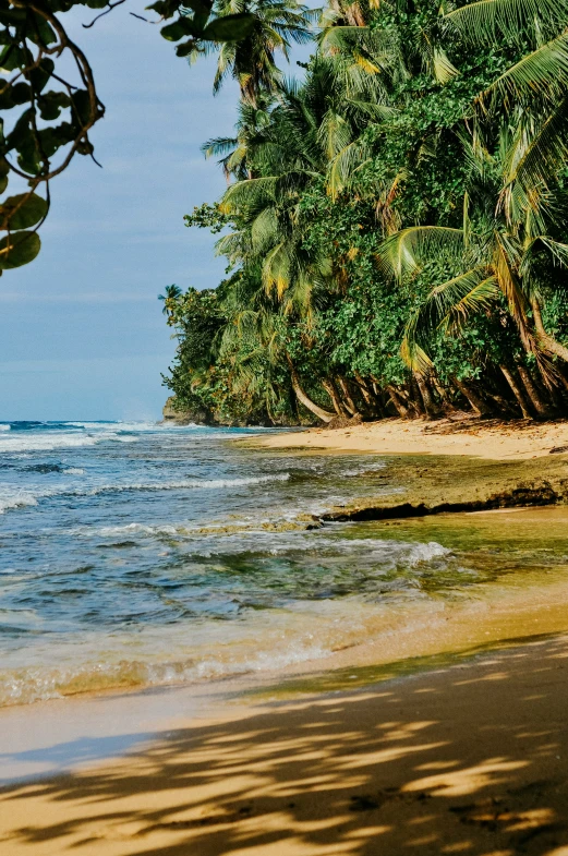 a beach view looking out over the water