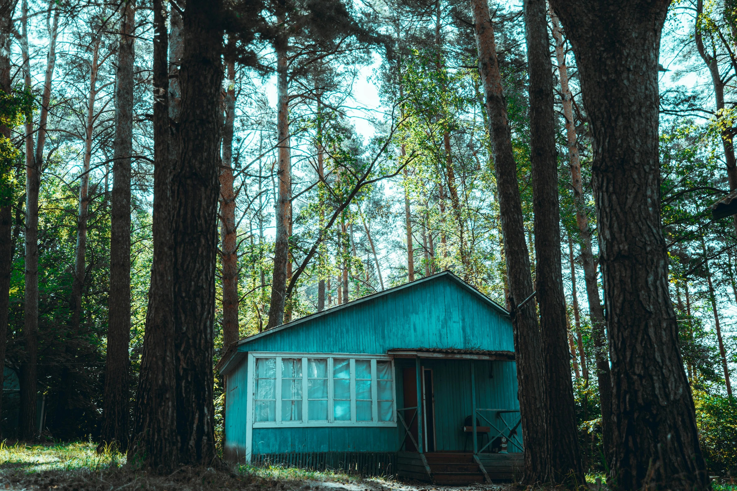 a blue building sitting in the middle of a forest