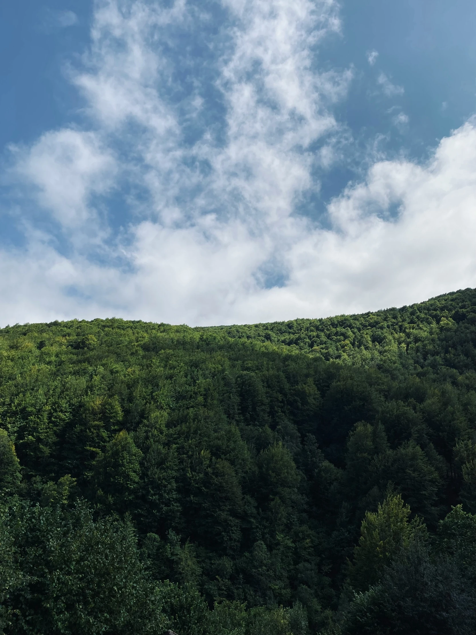 an airplane flying over a lush green mountain side