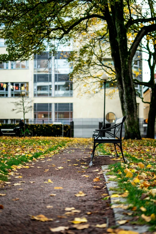 a park bench next to a pathway with trees and buildings behind