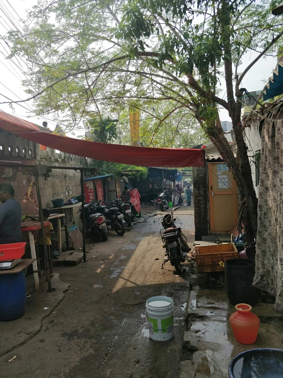 people are outside near motorcycles and a tree