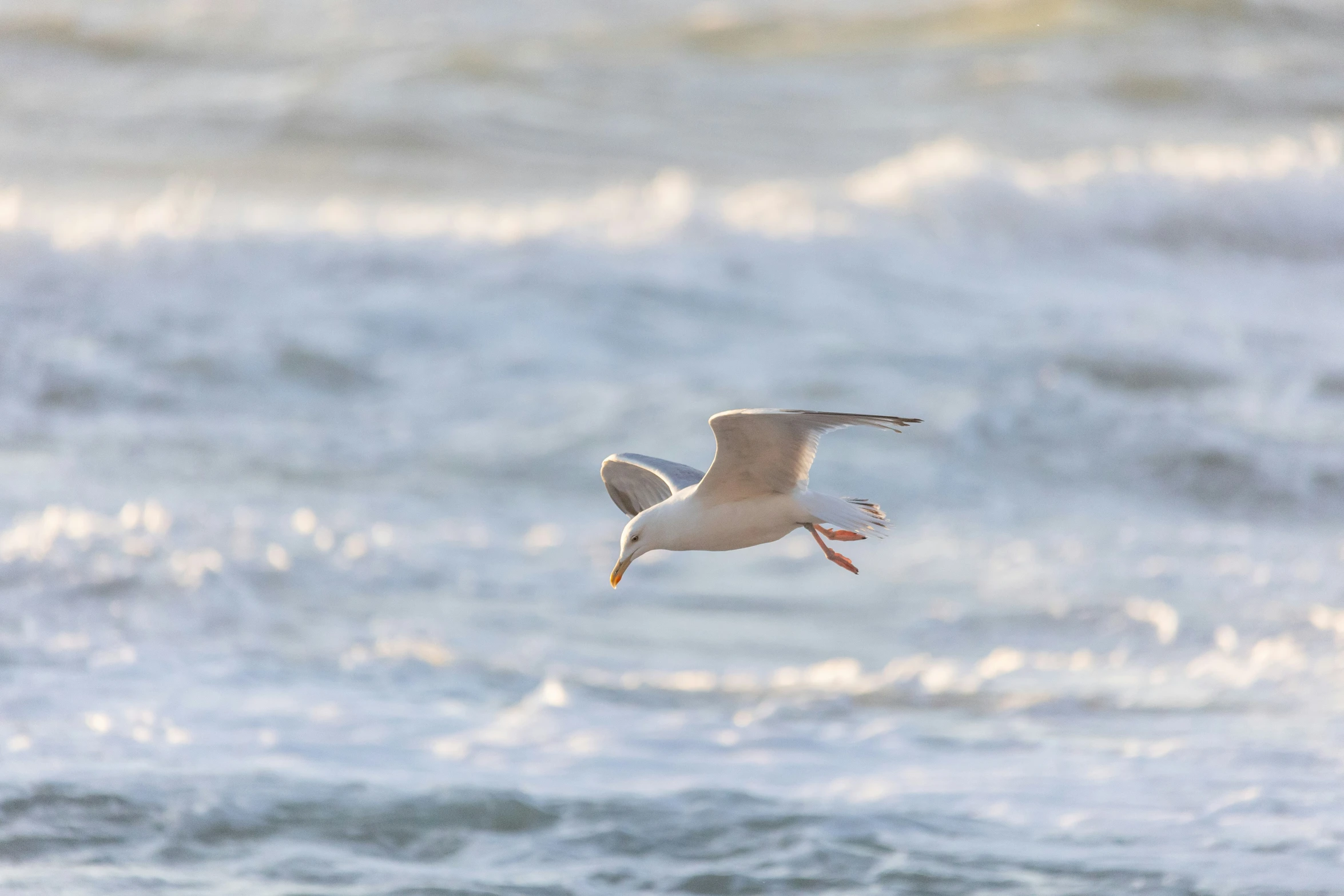 a large bird flying over a body of water