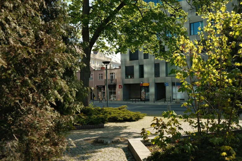 the brick sidewalk has many small shrubs and rocks in front of it