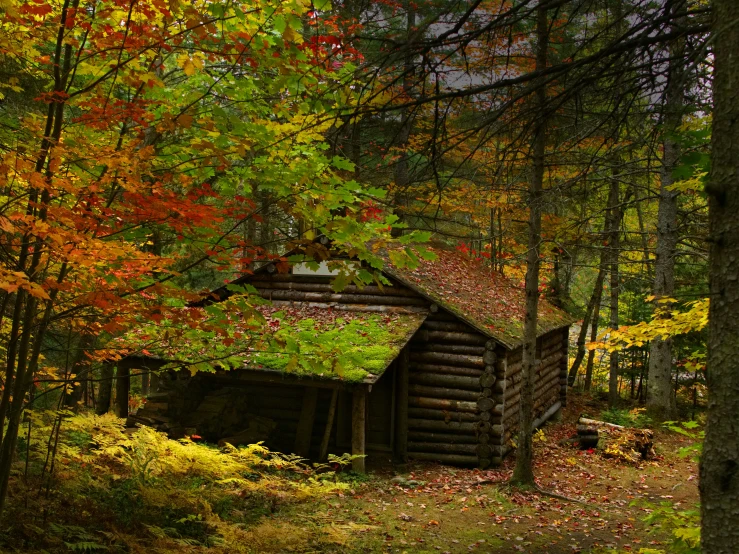 a log cabin with a green roof in a tree