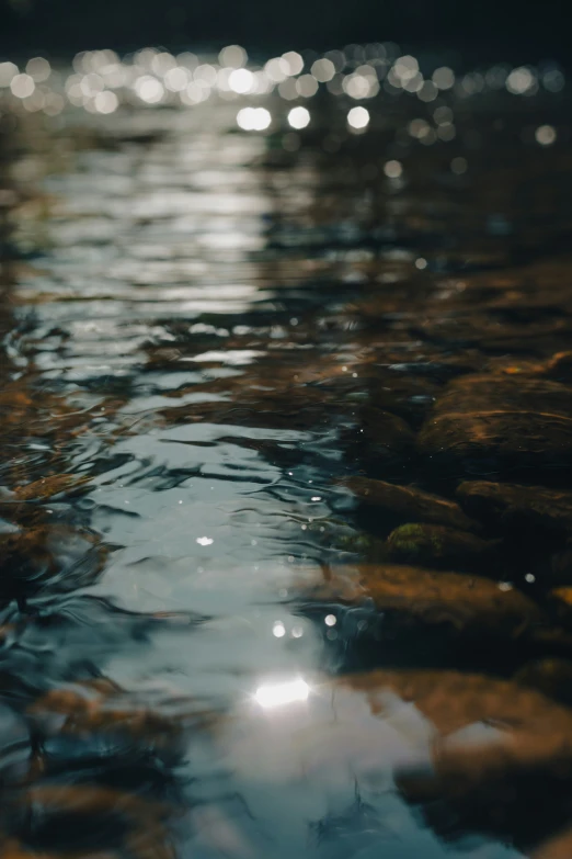 the view of a river from above