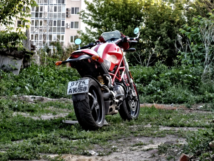 a motorcycle is parked in the grass next to some trees