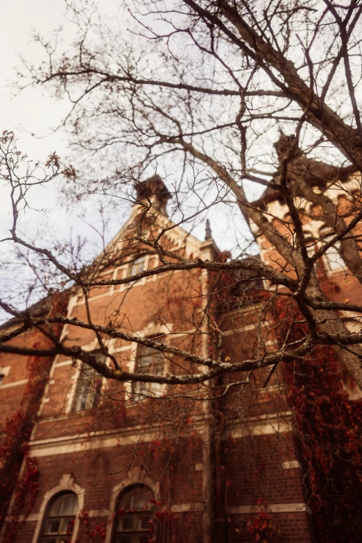 a tall brick building with trees in front of it