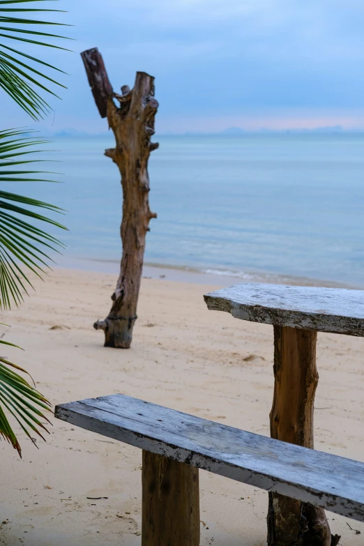 a bench and tree trunk sitting on top of a beach