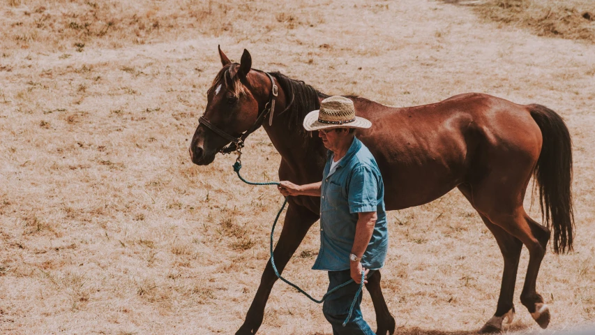 a man walking his brown horse on a field