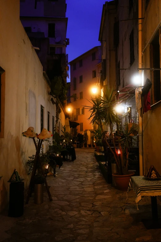 a street lit up with two lights and some plants on both sides