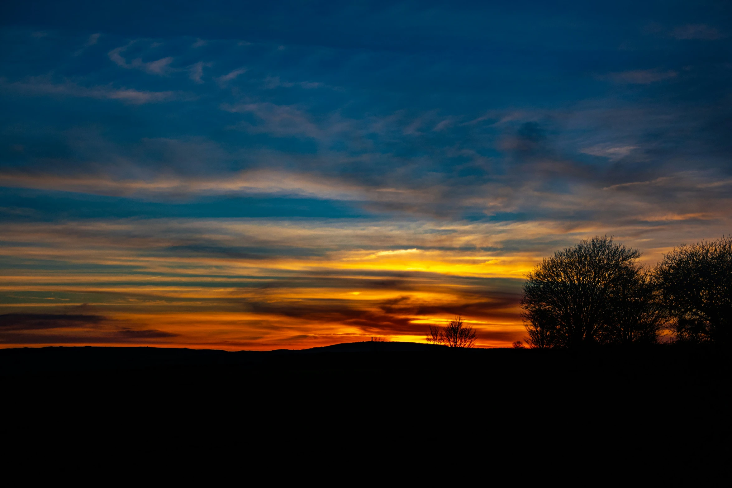 a tree in the evening is lit by the sun and clouds