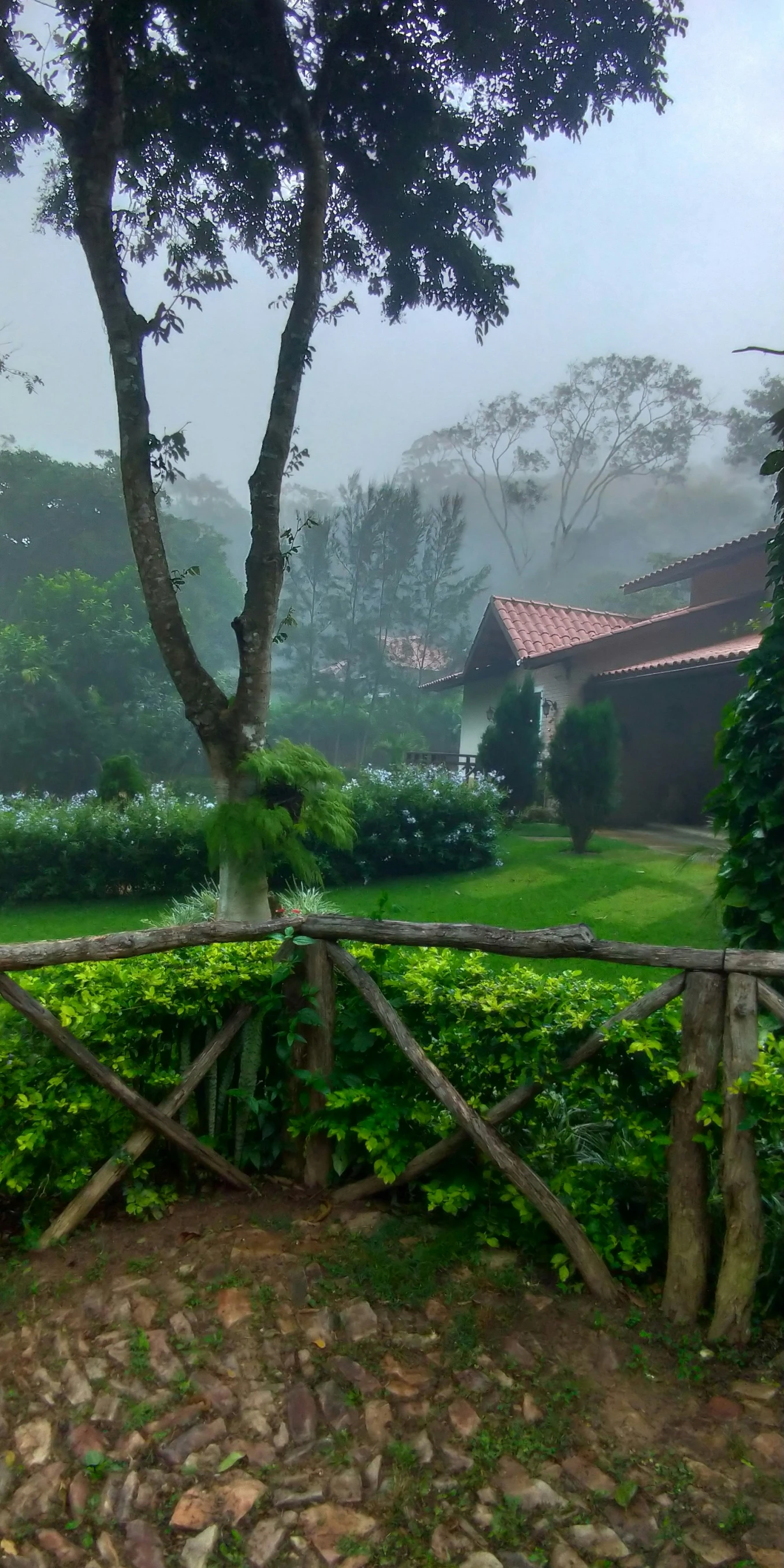 an empty yard with a fence and some bushes