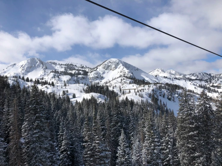 a snowy mountain is behind skis with trees below