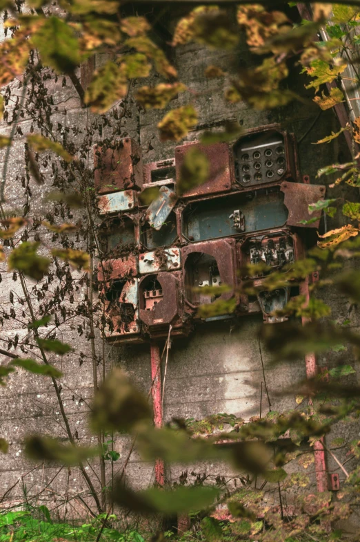 a rusty object sitting in between two trees