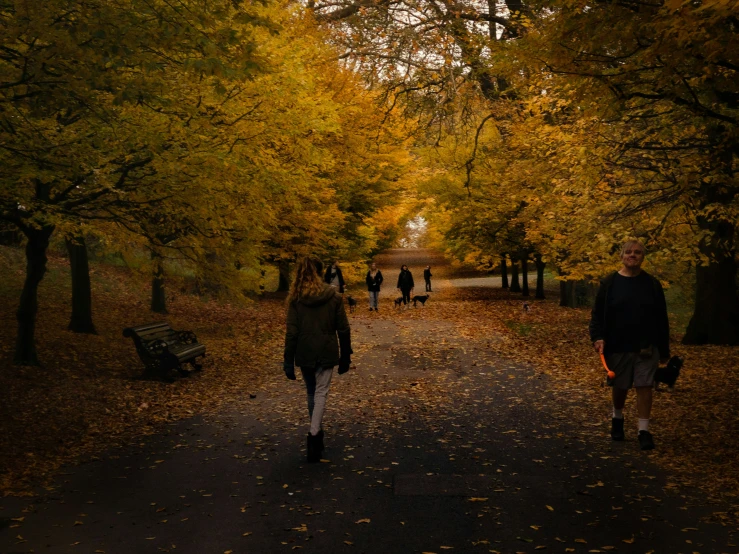 some people walking down a tree covered sidewalk