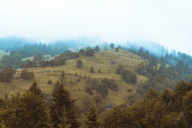 a hilly hillside with lots of trees and houses