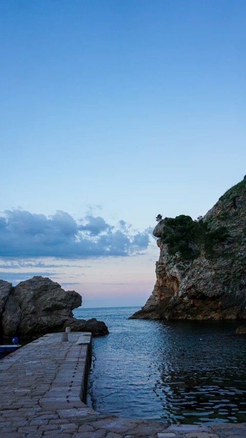 a rocky shore near a body of water and a tree