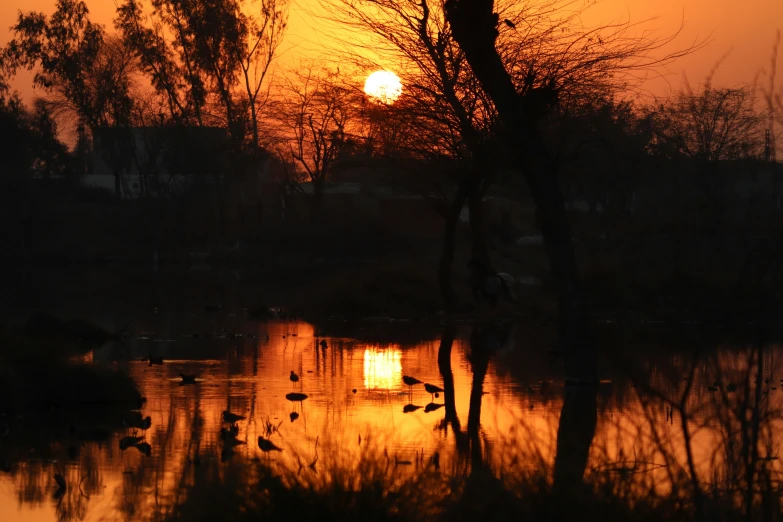 a lake with lots of birds sitting in the water