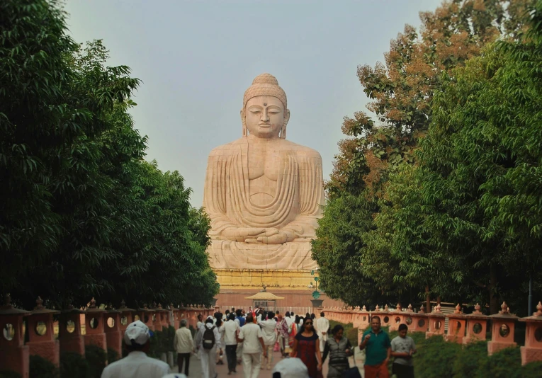 a buddha statue in the middle of trees