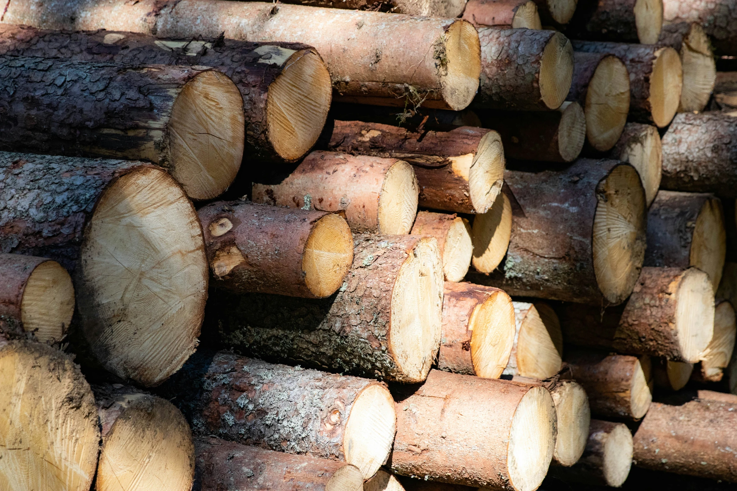 a pile of logs sitting next to each other