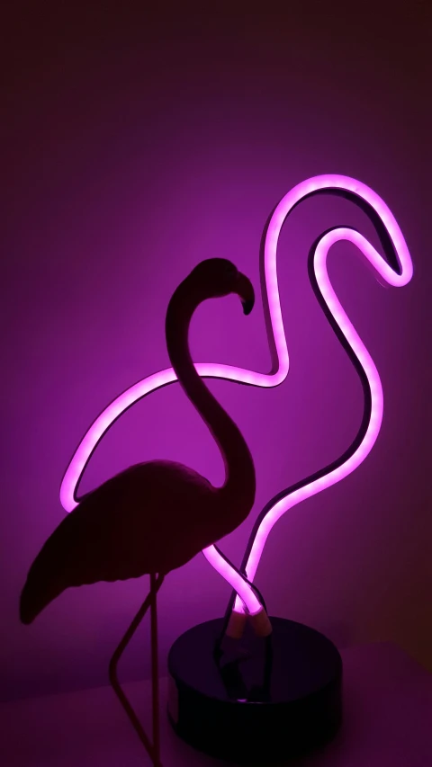 a lit pink flamingo with dark background