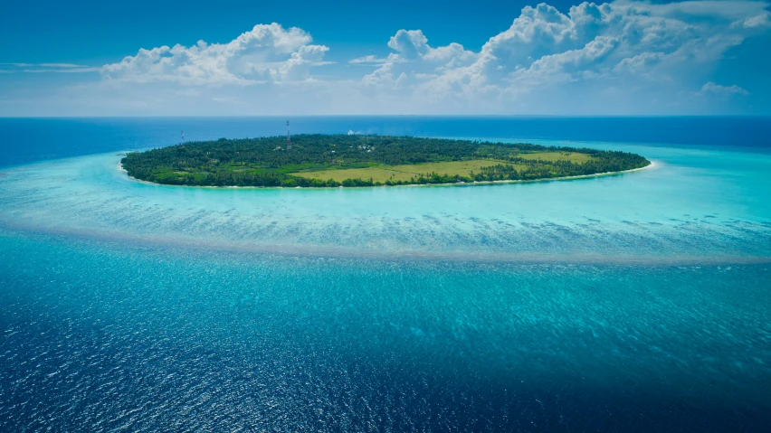 an island with a lone tree in the middle of it