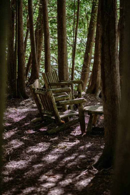 a wooden bench in the woods by some trees
