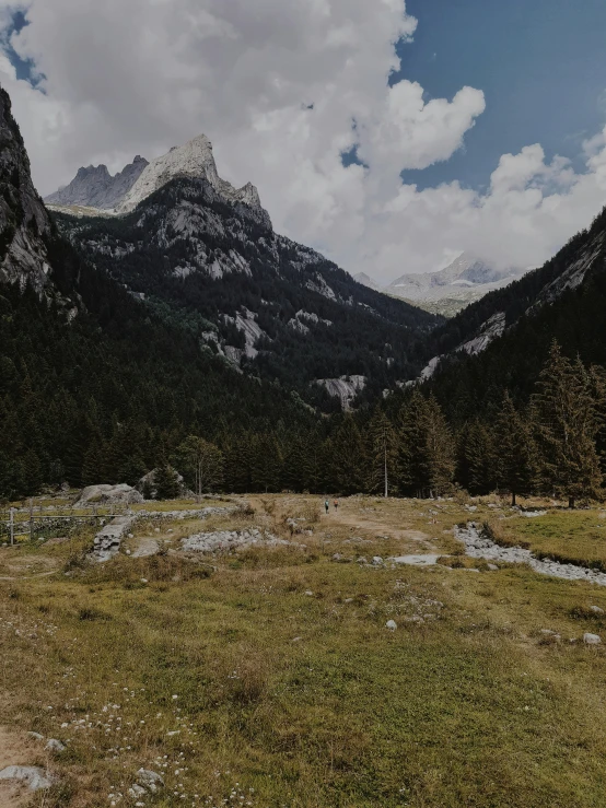 a view of a field with some animals grazing