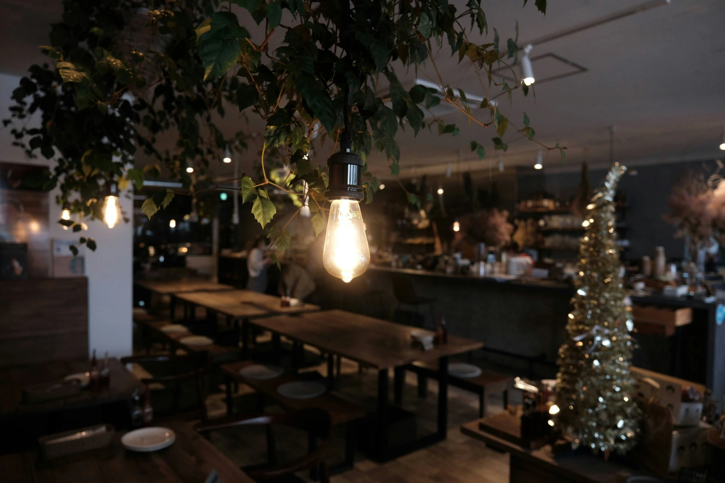 a very pretty restaurant with a small christmas tree