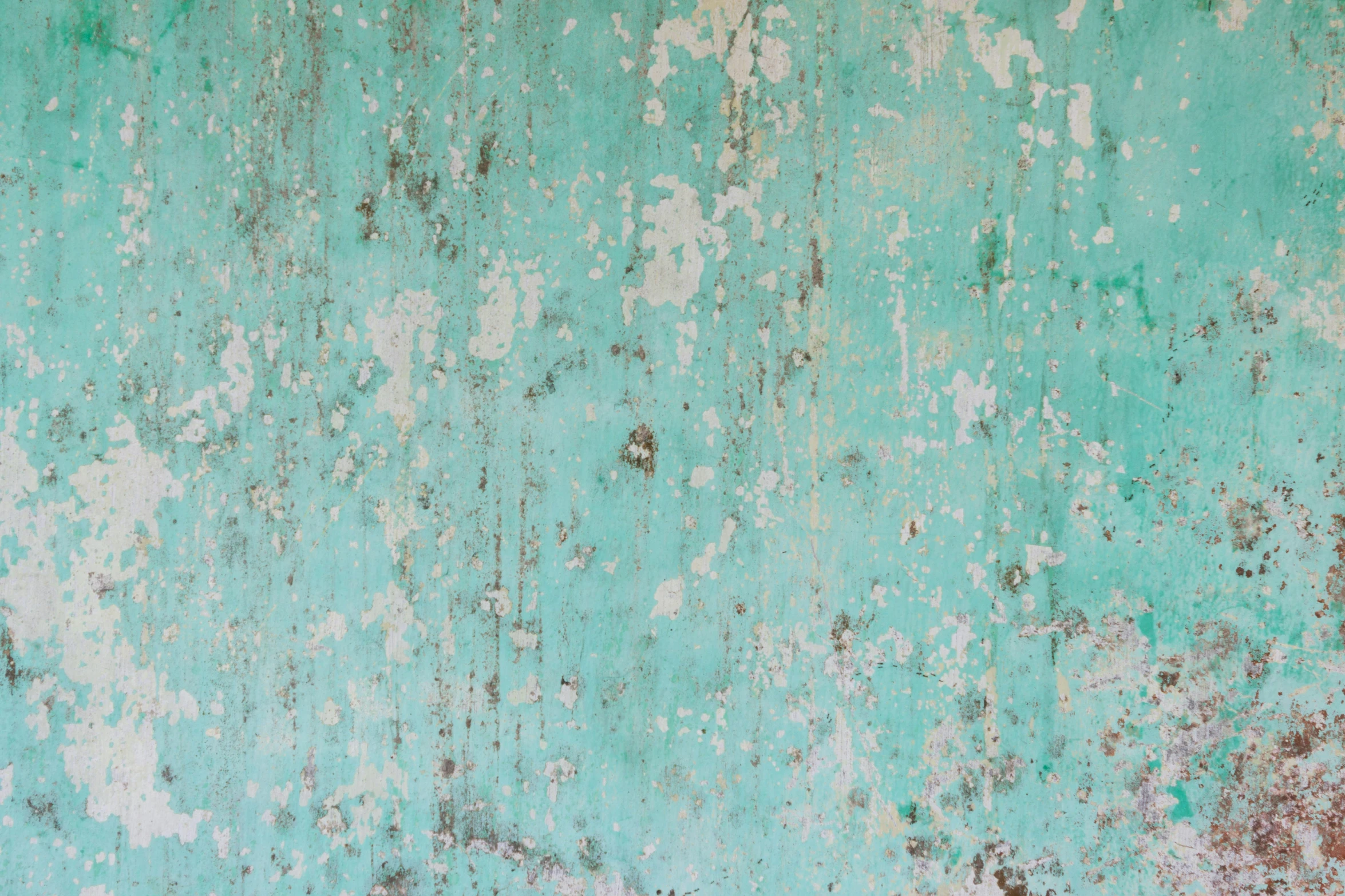 a green wall with rust stains and a white bird