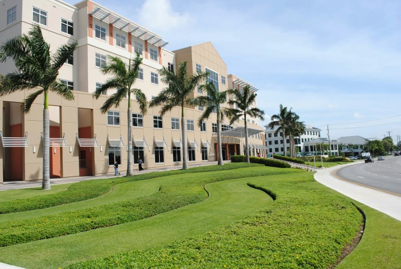 palm trees stand around a row of apartment buildings