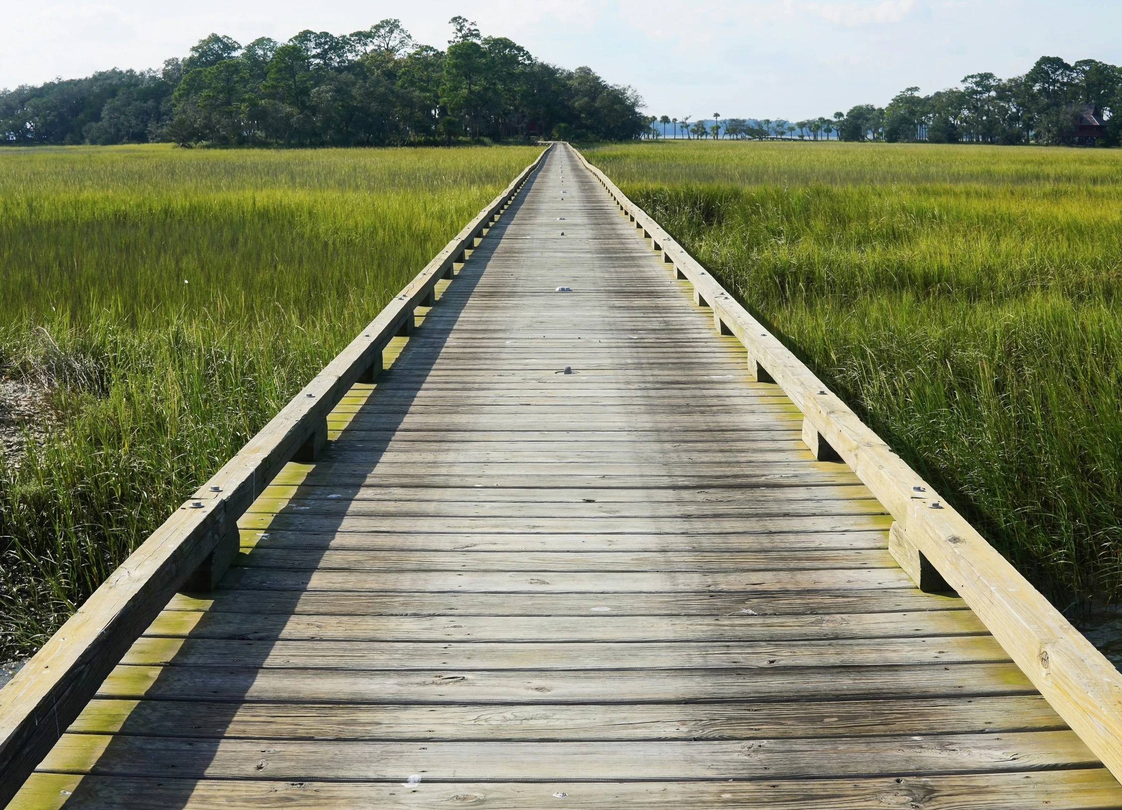 a long wooden bridge going through green field