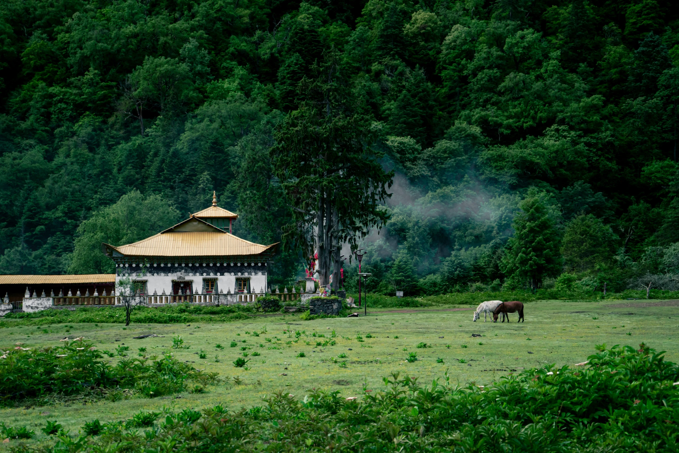 a horse standing on the grass in front of a building